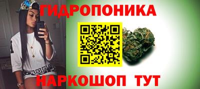 2c-b Кандалакша