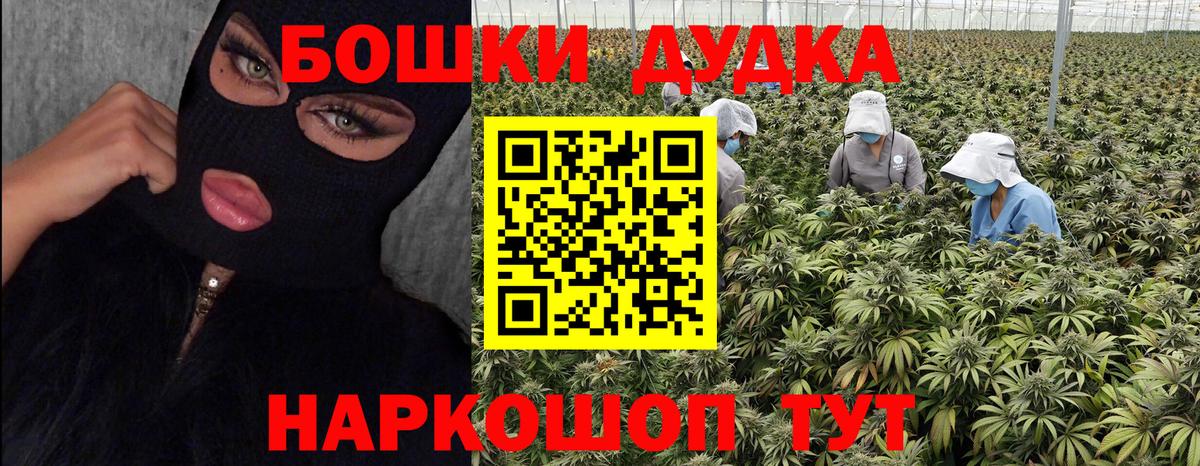 Бошки Шишки Amnesia  Бошки Шишки VHQ  Бошки Шишки Ganja  Краснознаменск  Конопля Amnesia  Вход с VPN 